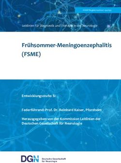 Fr Hsommer Meningoenzephalitis Fsme Deutsche