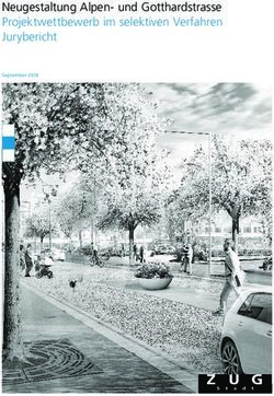 Neugestaltung Alpen- und Gotthardstrasse Projektwettbewerb im selektiven Verfahren Jurybericht