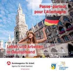 Passe-partout pour l Allemagne - Leben und Arbeiten in Deutschland