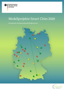 Modellprojekte Smart Cities Gemeinwohl Und Netzwerkstadt