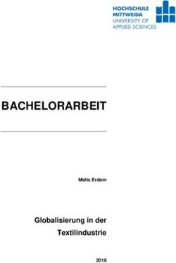 BACHELORARBEIT - Globalisierung in der Textilindustrie - Hochschule Mittweida