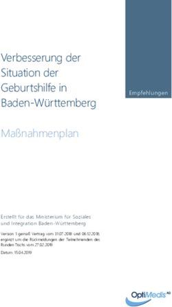 Verbesserung der Situation der Geburtshilfe in Baden-Württemberg Maßnahmenplan