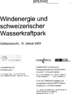 Windenergie und schweizerischer Wasserkraftpark - BFE/EWG