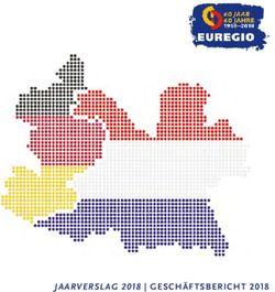 JAARVERSLAG 2018 | GESCHÄFTSBERICHT 2018 - Euregio