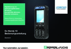 Ex-Handy 10 Bedienungsanleitung - Deutsch