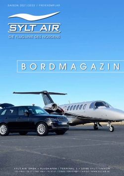 DIE FLUGLINIE DES NORDENS - Sylt Air