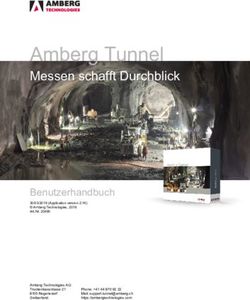 Amberg Tunnel Messen schafft Durchblick - Benutzerhandbuch - Amberg Technologies