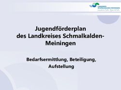 Jugendförderplan des Landkreises Schmalkalden-Meiningen - Bedarfsermittlung, Beteiligung, Aufstellung