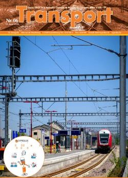 Nr. 06 - Mach deng 6 Schutzgesten an dro deng Mask! - Syprolux