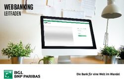 Web Banking Leitfaden Bgl Bnp Paribas