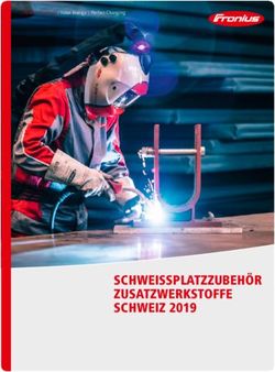 SCHWEISSPLATZZUBEHÖR ZUSATZWERKSTOFFE SCHWEIZ 2019 - Fronius ...