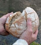 Noah Gemeinde . "Arche 4 im Trockendock" Christuskirche Gitter/Hohenrode . Die Kinderkirche ist wieder da! Heilige Dreifaltigkeit . Endlich wieder ...