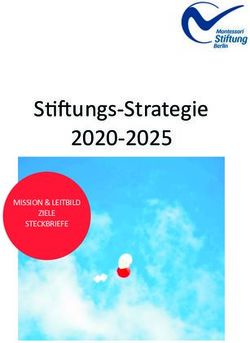 Stiftungs-Strategie 2020-2025 - MISSION & LEITBILD ZIELE STECKBRIEFE ...