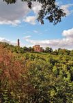WANDER PROGRAMM Pf&auml;lzerwald-Verein, Ortsgruppe Schifferstadt e.V - Pf&auml;lzerwald-Verein