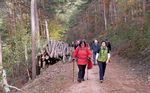 WANDER PROGRAMM Pf&auml;lzerwald-Verein, Ortsgruppe Schifferstadt e.V - Pf&auml;lzerwald-Verein