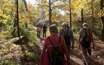 WANDER PROGRAMM Pf&auml;lzerwald-Verein, Ortsgruppe Schifferstadt e.V - Pf&auml;lzerwald-Verein