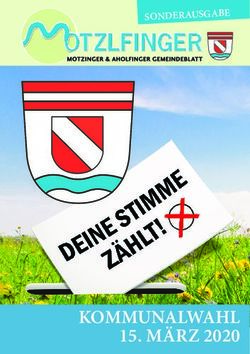 KOMMUNALWAHL 15. M&Auml;RZ 2020 - SONDERAUSGABE