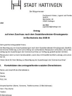 Antrag auf einen Zuschuss nach dem Sozialdienstleister-Einsatzgesetz- im Rechtskreis des SGB IX