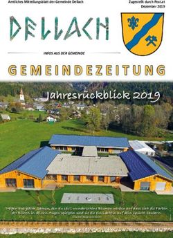 Jahresrückblick 2019 - Gemeinde Dellach