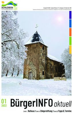 B&uuml;rgerINFO aktuell - Stadt Schleiden