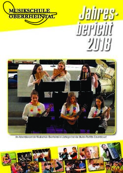 Jahres-bericht 2018 - Musikschule Oberrheintal
