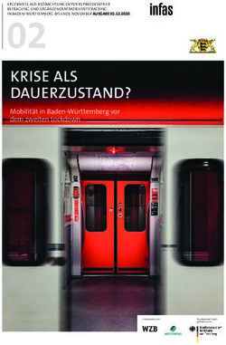 KRISE ALS DAUERZUSTAND? - Ministerium für Verkehr ...