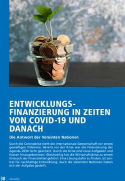 ENTWICKLUNGS - FINANZIERUNG IN ZEITEN VON COVID-19 UND DANACH