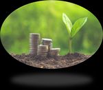 Finanzierungsm&ouml;glichkeiten f&uuml;r Unternehmungen - am Beispiel von Green Bonds - Club of Rome