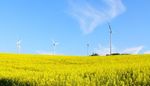 Finanzierungsm&ouml;glichkeiten f&uuml;r Unternehmungen - am Beispiel von Green Bonds - Club of Rome