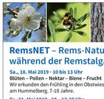 Veranstaltungen am 1. Mai 2019 2019 - Stadt Remseck