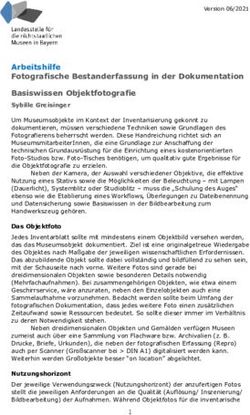 Arbeitshilfe Fotografische Bestanderfassung in der Dokumentation Basiswissen Objektfotografie