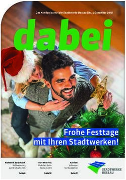 Frohe Festtage mit Ihren Stadtwerken! - Stadtwerke Dessau