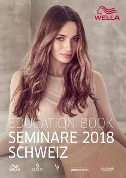 SEMINARE 2018 SCHWEIZ - EDUCATION BOOK - WELLA