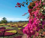 Portugal - Madeira Blumenzauber im Atlantik - REISENUMMER: HNA LR 2019 DER FL06 - MADEIRA - hna-leserreisen