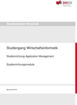 Studiengang Wirtschaftsinformatik - Studienrichtung Application Management Studienbereich Wirtschaft - DHBW Stuttgart