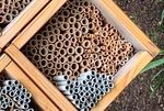 Fertig zum Einzug - Nisthilfen für Bienen & Co - Forscherstation