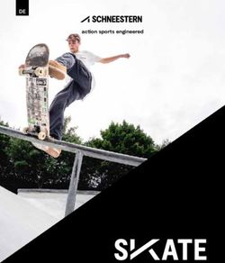 DE action sports engineered