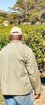 G&uuml;nstiger Wein, bitterer Nach-geschmack - WEINEXPORTE VON S&Uuml;DAFRIKA NACH DEUTSCHLAND - Rosa-Luxemburg ...