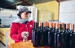 G&uuml;nstiger Wein, bitterer Nach-geschmack - WEINEXPORTE VON S&Uuml;DAFRIKA NACH DEUTSCHLAND - Rosa-Luxemburg ...