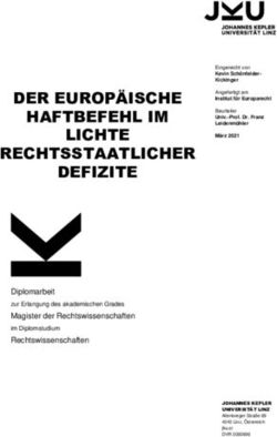 DER EUROP&Auml;ISCHE HAFTBEFEHL IM LICHTE RECHTSSTAATLICHER DEFIZITE - JKU ePUB