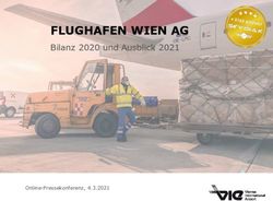 FLUGHAFEN WIEN AG Bilanz 2020 und Ausblick 2021 - Online-Pressekonferenz, 4.3.2021