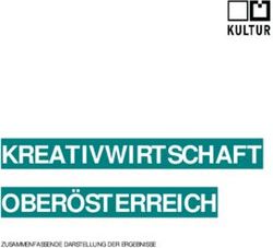 KREATIVWIRTSCHAFT OBER&Ouml;STERREICH - ZUSAMMENFASSENDE DARSTELLUNG DER ERGEBNISSE