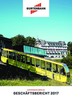 GESCH&Auml;FTSBERICHT 2017 - GURTENBAHN BERN AG