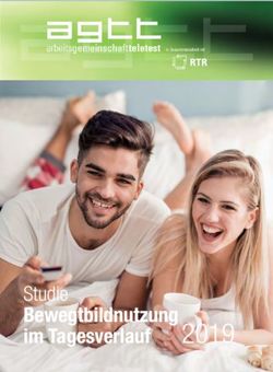 2019 Bewegtbildnutzung im Tagesverlauf - Studie - ORF-Enterprise