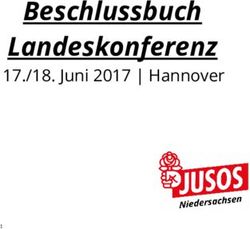 Beschlussbuch Landeskonferenz - 17./18. Juni 2017 | Hannover - Jusos Niedersachsen