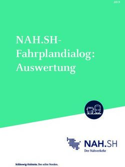 NAH.SH- Fahrplandialog: Auswertung 2019