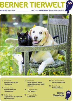 BERNER TIERWELT - Berner Tierschutz