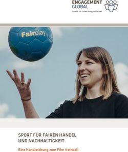 SPORT FÜR FAIREN HANDEL UND NACHHALTIGKEIT - Eine Handreichung zum Film #einball