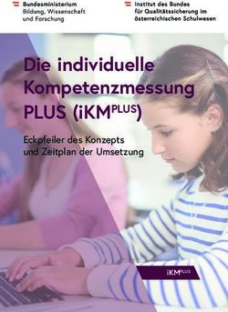 Die individuelle Kompetenzmessung - PLUS (iKMPLUS) Eckpfeiler des Konzepts und Zeitplan der Umsetzung - PH ...