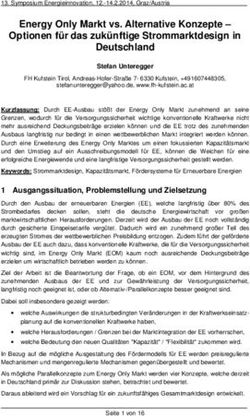 Energy Only Markt vs. Alternative Konzepte - Optionen für das zukünftige Strommarktdesign in Deutschland